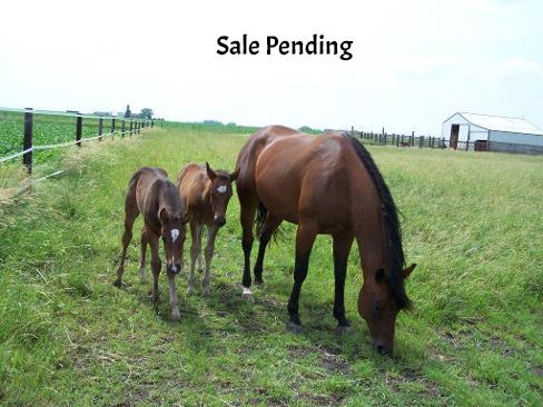 Sale Pending